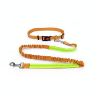 Woven Strap Pet Collar Leash Kit for Walking