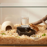Automatic Water Feeder Anti-Drowning Small Pet Water Bowl Easy to Clean for Breeding Box, Terrarium