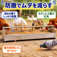 poultry feeder