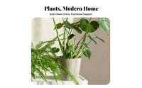 4 Pieces Alocasia Support Holder Reusable Indoor Plant Support Loop S Easy Installation Plant Climbing Frame for Gardeners, Homeowners, Indoors