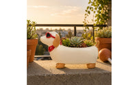 Painted Finish Resin Dachshund Pot Exposed Cavity Dachshund Planter Standing Legs Desktop Planter Small Plants for Desk