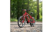 Die-Cast Mountain Bike Model Alloy Miniature Cycle Model Collectible Die-Cast Cycle for Collectors, Hobby Shelf, Office Desk