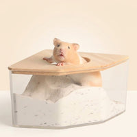 Oak Wood Hamster Bath and Hamster Sand Bath, Fan Shaped Hamster Toilet for Dwarf Hamsters, Transparent Container with Removable Lid, 142 Chars
