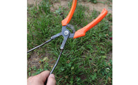 Labor Saving Sweet Potato Seedling Planter Reduce Root Damage Transplanting Tool Curved Tip for Greenhouse
