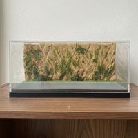 Imitation Mountain Road Diorama Box Ready to Use Dustproof Model Car Storage Clear View Crafting Essentials for Hobbyists, Shelf, Desk