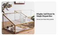 Trapezoid Glass Display Case Gold-Tone Frame Jewelry Box Dust-Proof Lid for Desk