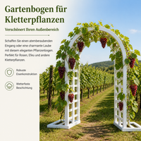 Garden Arch Made of Iron Metal, 30mm Pipe, Painted, for Climbing Roses, Ivy, Grapes & Flowers, Nordic Style, 40cm Deep, 12kg Garden Arch