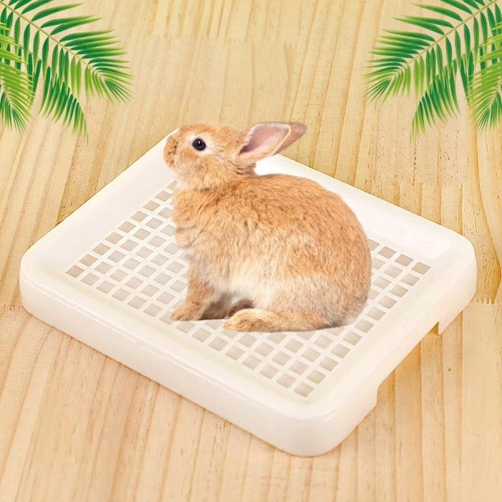 Dry Feet Guinea Pig Litter Tray, Litter Pan with Grate for Bunny and Chinchilla, Washable Flat Toilet Pan, 25 x 19.5 x 3 cm Size
