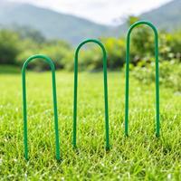 ground stakes