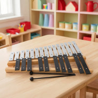 25 Note Xylophone Classroom-Friendly Xylophone with Carry Case Glockenspiel with Carrying Bag for Kids, Beginners