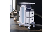 Salon Cart with Drawers Sturdy Rolling Salon Cart Beauty Trolley for Nail Technicians