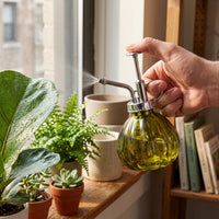 Pumpkin Glass Plant Mister Spray Bottle for Indoor Outdoor Plants