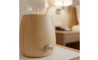 LED Lamp Quiet Glass and Wood Dispenser Handcrafted Home Fragrance