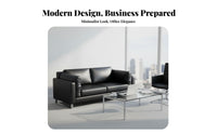 Matte Finish 3-Piece Black Minimalist Couch Set Modern Design 3-Piece Couch and Chair Set Easy to Clean Office Furniture Sturdy Frame for Businesses, Clients, Reception Area, Business Meeting Space, Waiting Room