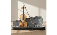 Violin with Hard Case Wooden Violin with Case Black Student for Beginners, Practice, Lessons