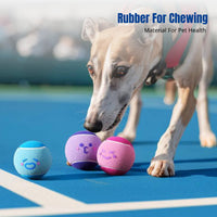 Dog Toy, Elastic sports ball with squeaker, durable, puppy training, multiple sizes, pet supplies