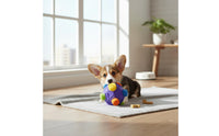 Slow Feeder Interactive Dog Food Ball Sturdy Rubber Snuffle Ball Toy for Dogs