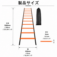 agility ladder