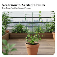 Climbing Plant Support Climbing Plant Frame Keeps Plants Tidy Flower Support Stake for Patio, Balcony, Indoor