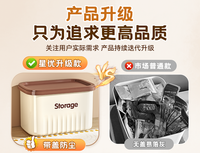 桌面收纳盒带盖化妆品杂物零食玩具整理盒家用储物筐长方形小箱子 【2个装】高款中号