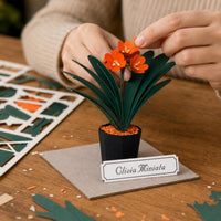 Jeancard 3D Laser-Cut Clivia Paper Model Kit