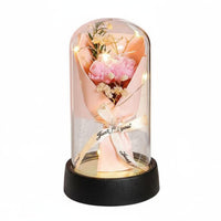 Treated Floral Dome Romantic Gift Timeless Bloom Acrylic Dome Long Perennial Blossom Light for Girlfriend, Mom