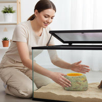 Snake Soaking Tub Naturalistic Design Reptile Water Bowl Resin Rock Water Bowl Easy to Clean Terrarium Accessory for Vivariums