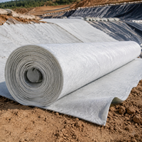 HDPE Geomembrane Sheet Composite Membrane Liner 300gsm Black White Waterproof Membrane Fabric Anti-seepage Membrane For Landfill Outdoor Pond