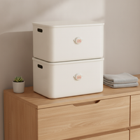 Cartoon Storage Box with Lid for Snacks, Toys, and Sundries