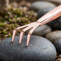 Mini Bonsai Rake and Trowel Set for Potted Plants
