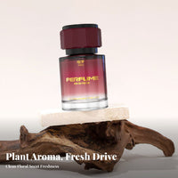 Odor Eliminator Car Perfume Bottle Decorative Dashboard Scent Ornament Natural Plant Extracts for Drivers, Commuters, Office, Bathroom, Home