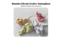 Bunny Plaster Ornament Cast Easter Bunny Cast Reusable for DIY Enthusiasts, Parents, Home Decoration, Gift Making