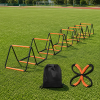 agility training hurdles