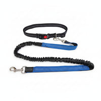 Woven Strap Pet Collar Leash Kit for Walking
