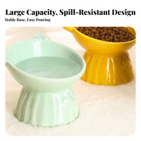 Anti-Tip Tilted Ceramic Pet Feeder Ergonomic Design Elevated Cat Bowl Non-Skid Base for Small Dogs, Senior Pets, Mealtime, Kitchen, Indoor