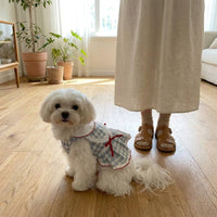 Cute Dog Dress and Cat Dress with Lace Skirt - White Plaid and Lace Skirt - Blue Plaid, Gingham Small Dog Clothes in Dopamine Style for Parties