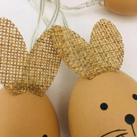 Easter Egg Light Strand Festive Atmosphere Bunny and Egg Hanging Lights Flexible Wire Battery Operated Easter Lights for Kids, Garden, Outdoor, Indoor