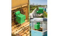 Queen Cage Ventilated Swarm Catcher Swarm Catcher Plastic Beekeeping Tools Rigid for Beekeepers