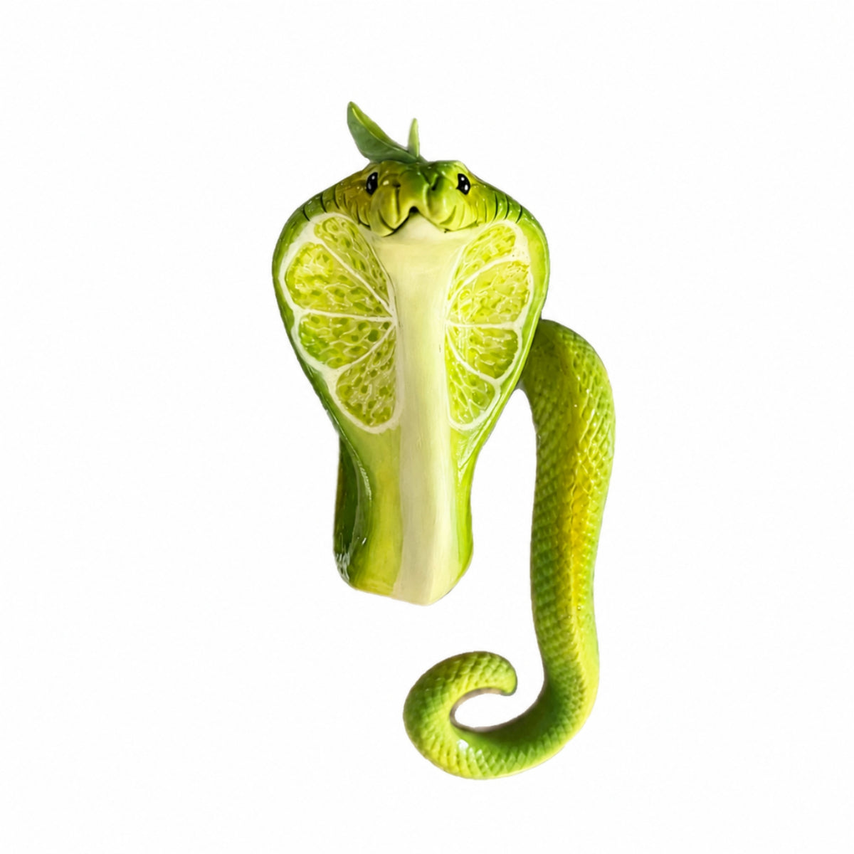 Pot Huggers with Reptilian Pattern Decorative Plant Pot Huggers Playful Hanging Basket Ornament for Interior Stylists