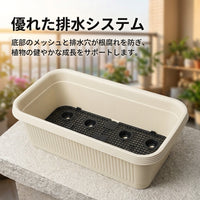 Deep Planter, Plastic, Set of 2, Transparent, Rectangular, Stylish, For Home Gardening, Balcony Gardening