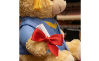 Graduation Teddy Bear Keepsake Graduation Bear Doll Soft Toy Cuddly
