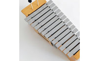Metallophone Diatonic Glockenspiel Compact Xylophone with Metal Strips for Kids