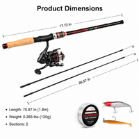 Fishing Rod and Reel Combo, Carbon Fiber Spinning Rod with Double Tip, 110cm Collapsed Length for River Fishing