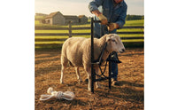 Multipurpose Sheep Head Restraint Heavy Duty Sheep Shearing Head Gate Long-Lasting Livestock Headlock Galvanized Steel Construction for Farmers, Ranchers, Beginners, Breeding, Milking, Veterinary Care, Hoof Trimming
