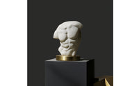 Torso Sculpture Abstract Human Torso Statue Stone-Like Sculpture with Gold Base for Interior Designers