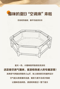 Breathable Pet Bed with Feather Teaser for Cats and Dogs