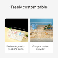 PET Hexagonal Axolotl Habitat Luxury Set, Transparent