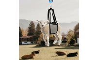 Pet Weighing Bag Breathable Mesh Animal Weighing Sling with D-Rings Hanging Weight Sling Adjustable Reinforced for Veterinarians