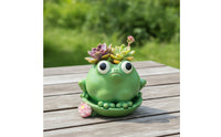 Plant Planter Cute Frog Planter Whimsical for Gardeners