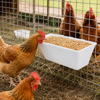 Barn Feed Trough Plastic Feeder Set of 3 Poultry Pig Automatic Feeder